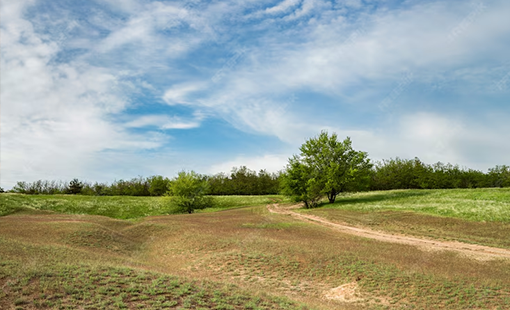 Purva Land Pune Puravankara Images